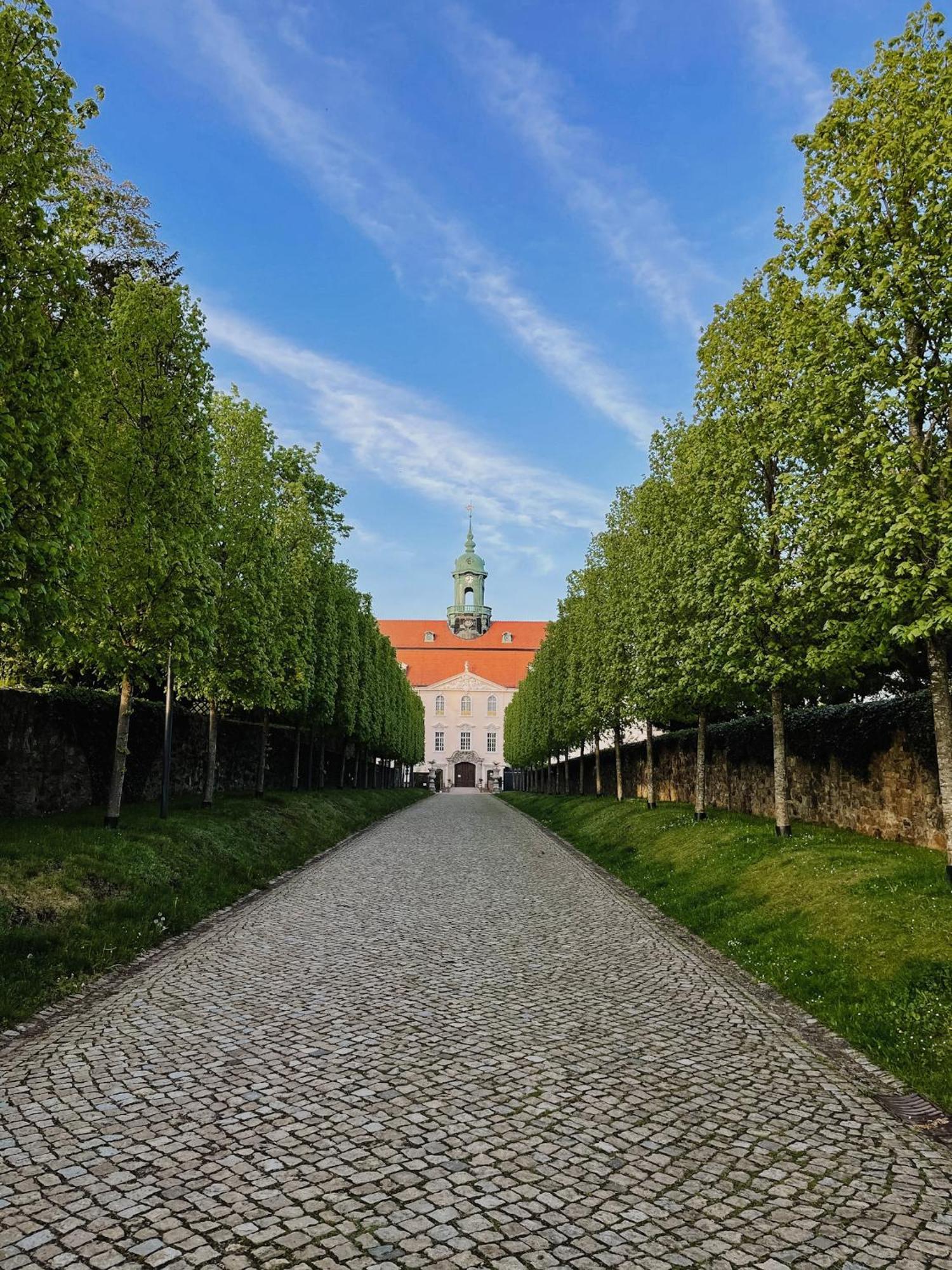 Tilda * Lichtenwalde